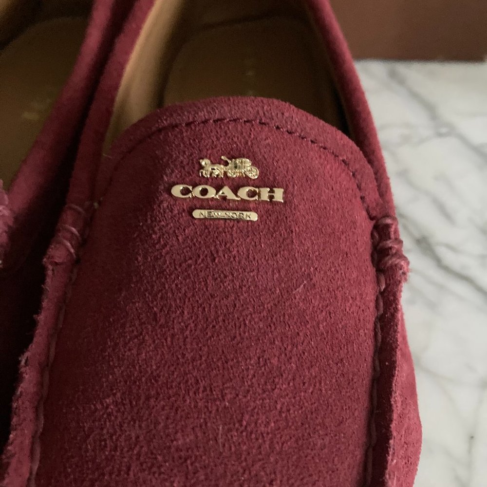Coach Driving Shoes